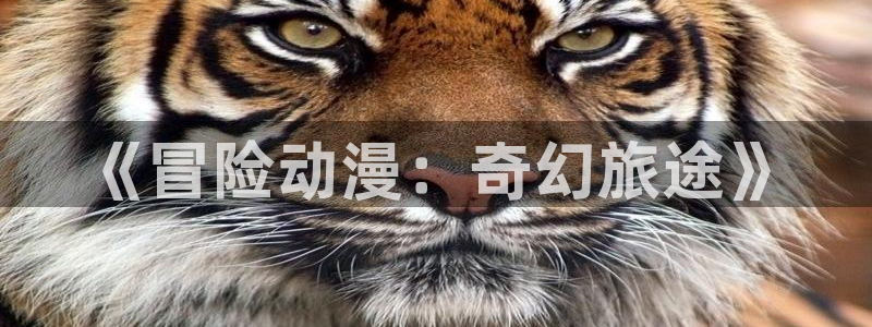 acg动漫里番：《冒险动漫：奇幻旅途》