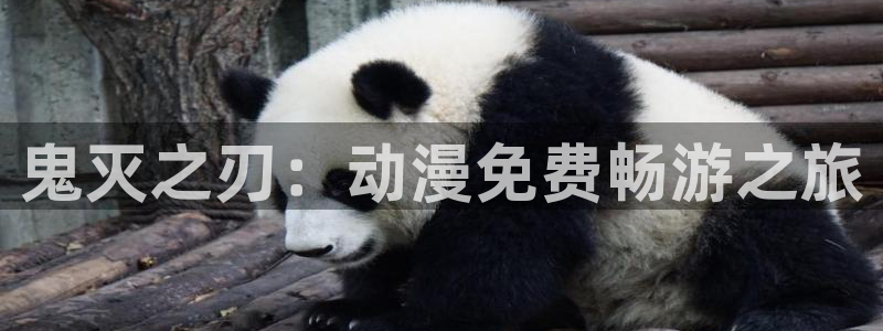 acg动漫app：鬼灭之刃：动漫免费畅游之旅